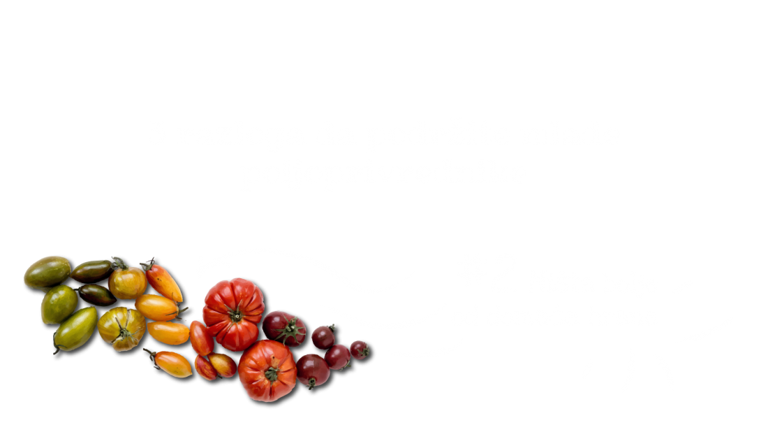 slider-zadruga-paradajz